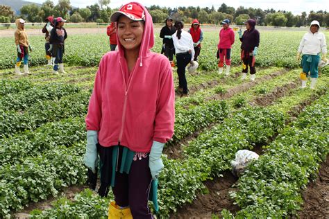 mujeres en el ejido|Mujeres dedicadas a la producción de palma camedor